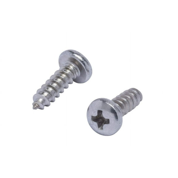 Bolt Dropper | 10 X 12" Stainless Pan Head Phillips Wood Screw 100Pc 18-8
