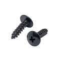 thumbnail image 1 of Bolt Dropper | 6 X 1" Stainless Truss Head Phillips Wood Screw 25Pc Black, 1 of 7