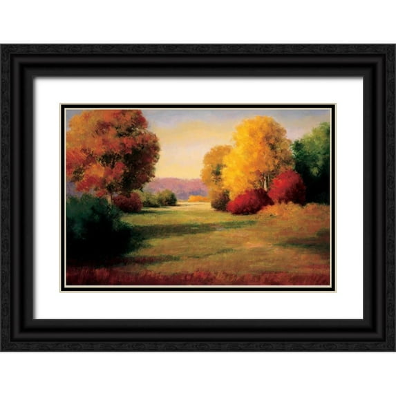 Bolton, Melissa 14x11 Black Ornate Wood Framed with Double Matting Museum Art Print Titled - The Morning Light I