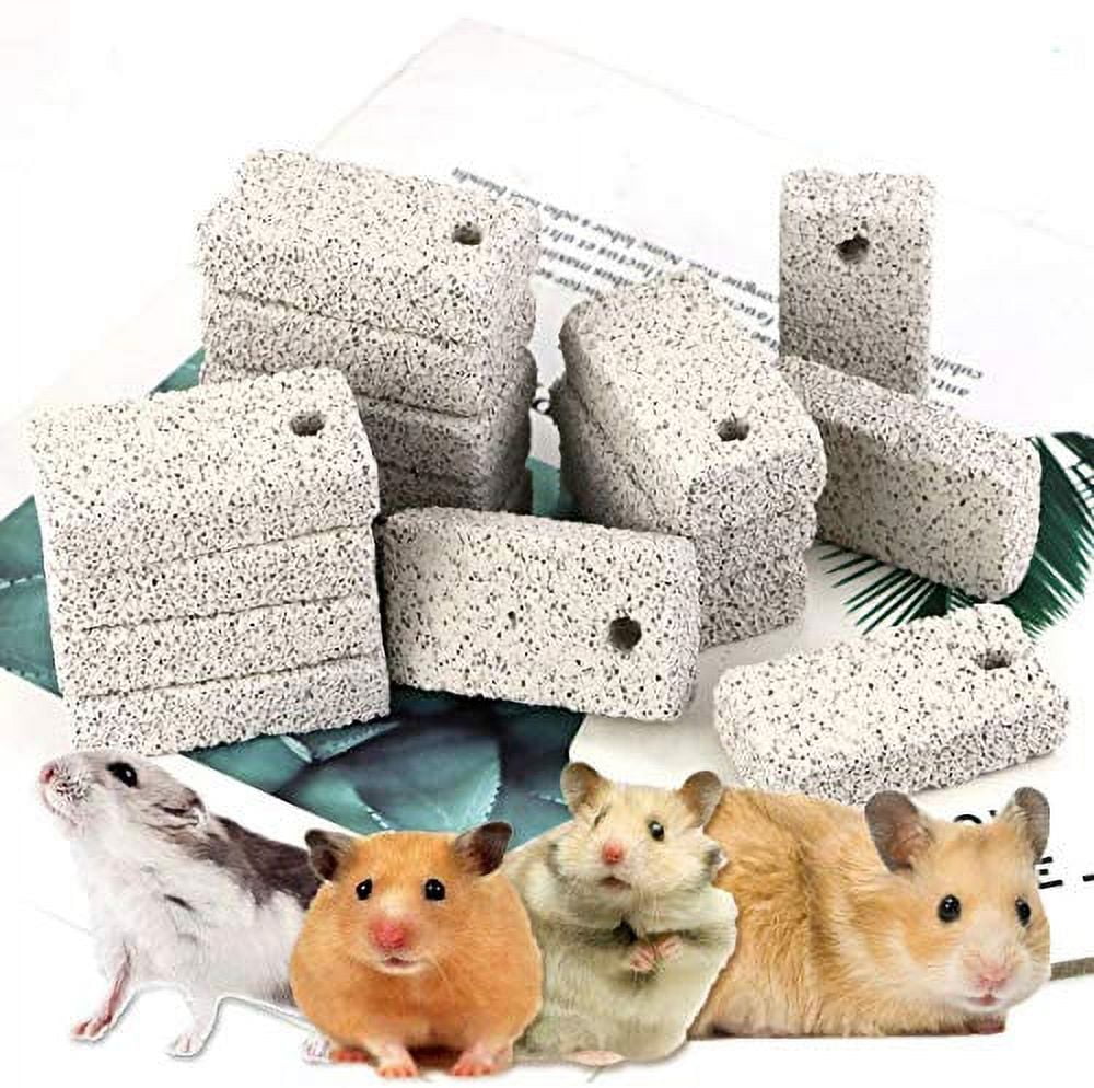 Billy Buckskin Lava Block Chew Toys For Small Pets - 8 Pack For Rabbits, Guinea Pigs, Chinchillas & More