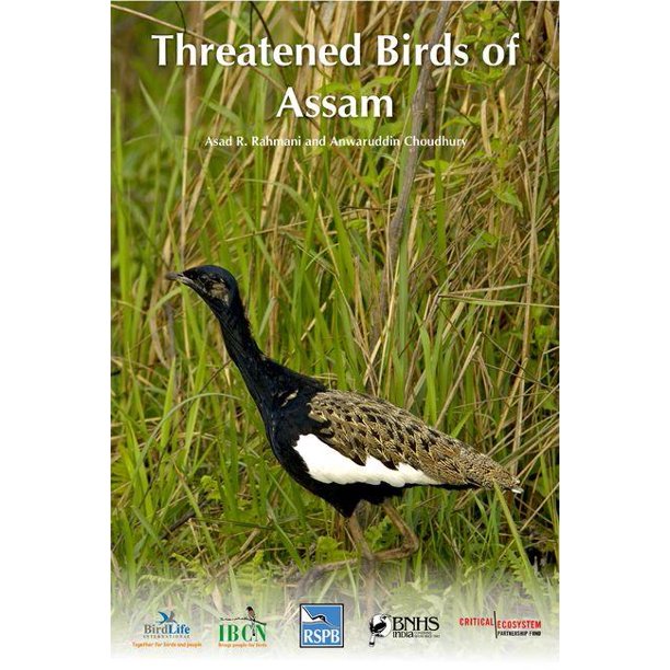 Bombay Natural History Society Threatened Birds of Assam (Paperback)