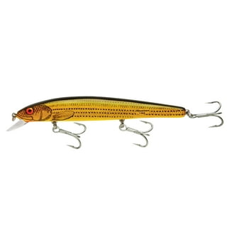 Bomber Lures Fishing Lures Sports & Outdoors –