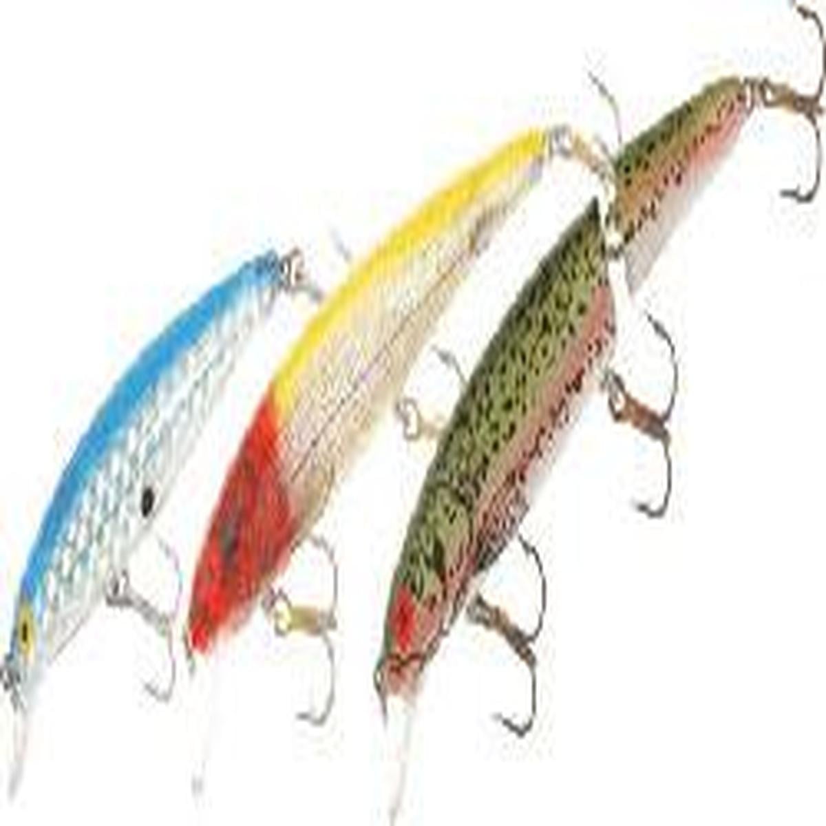 Bomber Long 15 a 15a Striper Barra Bass Crankbait Diving Lure Rainbow Trout  XRT 