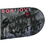 Bon Jovi Slippery When Wet Limited Edition, Picture Disc Vinyl Records & LPs