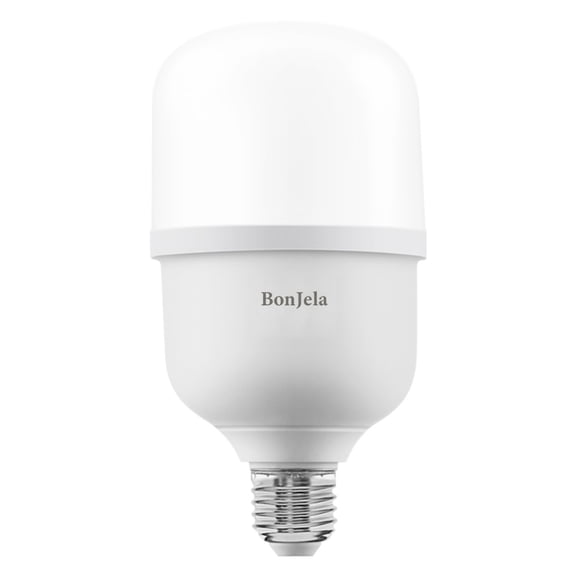 BonJela LED and HID light fixtures, A19 LED 14W (100W Equivalent) Daylight General Purpose Medium Base Light Bulbs