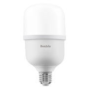 BonJela LED and HID light fixtures, A19 LED 14W 100W Equivalent Daylight General Purpose Medium Base Light Bulbs