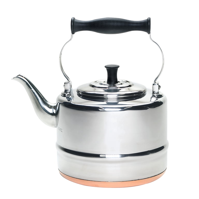 BonJour(r) Tea Stainless Steel and Copper-Base Gooseneck Teapot
