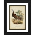 thumbnail image 1 of Bonapart, Charles L. 11x14 Black Ornate Wood Framed with Double Matting Museum Art Print Titled - Wild Turkey, 1 of 4