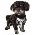 thumbnail image 1 of Bonatied Mesh Reversible & Breathable Adjustable Dog Harness with Designer Neck Tie, Black & White - Extra Small, 1 of 1