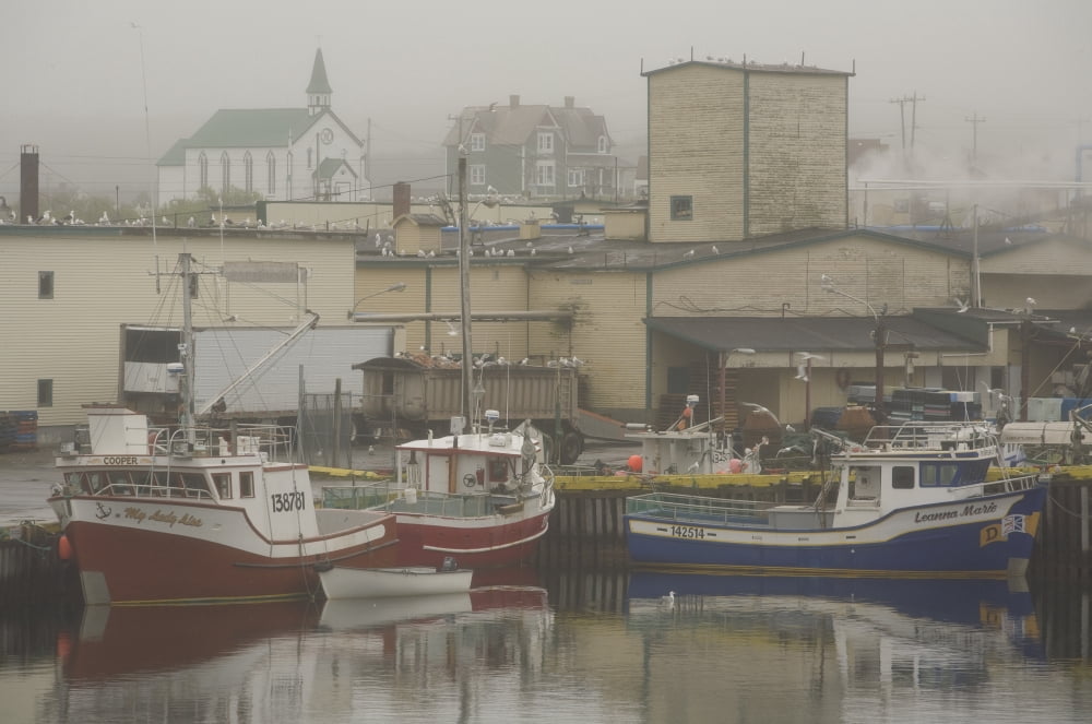 Bonavista Newfoundland And Labrador Canvas Art - John Sylvester Design Pics (17 x 11)