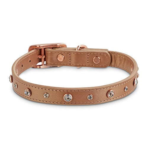 Bond dog collar hot sale