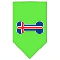 thumbnail image 1 of Bone Flag Iceland  Screen Print Bandana Lime Green Large, 1 of 1