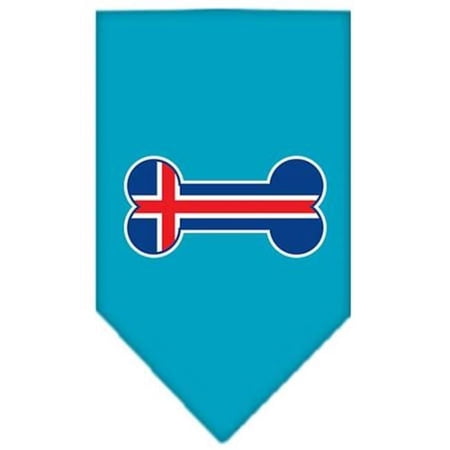 Bone Flag Iceland Screen Print Bandana Turquoise Small