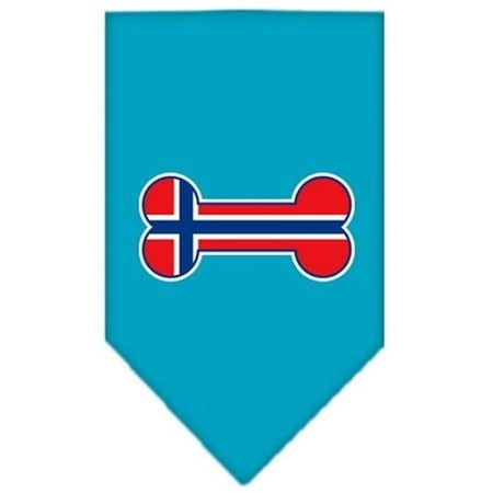 Bone Flag Norway Screen Print Bandana Turquoise Large