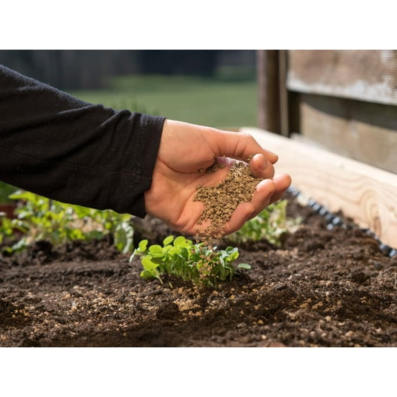 Bone Meal Fertilizer (3 Pounds) | Add to Potting Soil | Strong Root Development | for Tomatoes, Peppers, and Bulbs