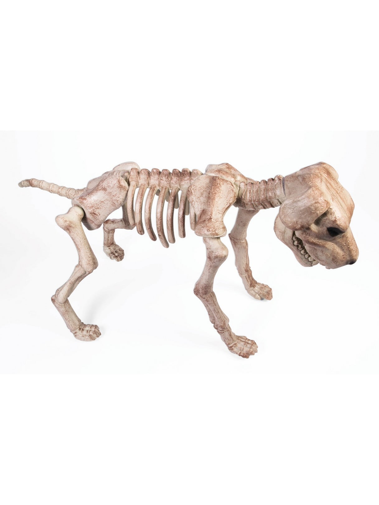 Bone Skeleton Dog Halloween Decoration