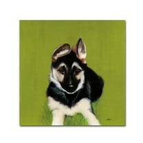 Bonelli' Canvas Art by Patsy Ducklow