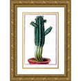 thumbnail image 1 of Bonelli, Giorgio 10x14 Gold Ornate Wood Framed with Double Matting Museum Art Print Titled - Cactus, Tithymalus, 1 of 4