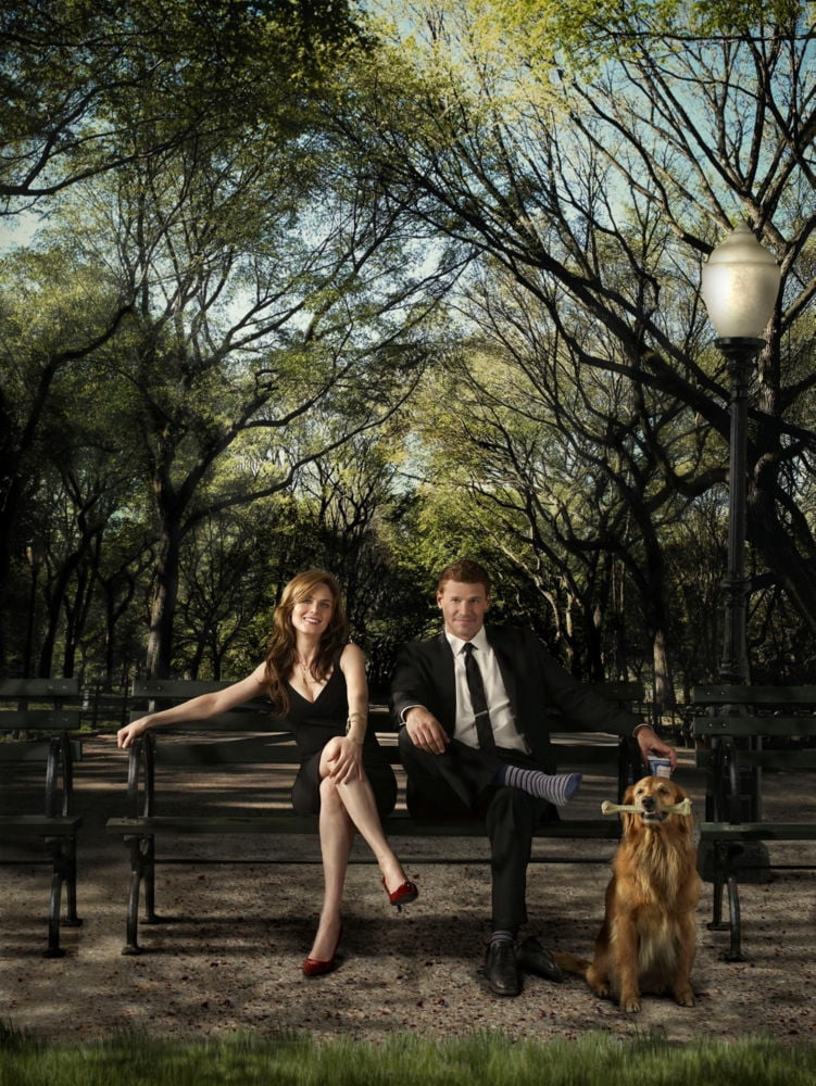 Bones Poster Park Bench 16x24 Poster Medium Art Poster 16x24 Square ...