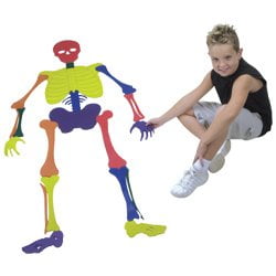 Bones Puzzle Set