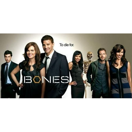 Bones: The Complete Fourth Season (DVD)