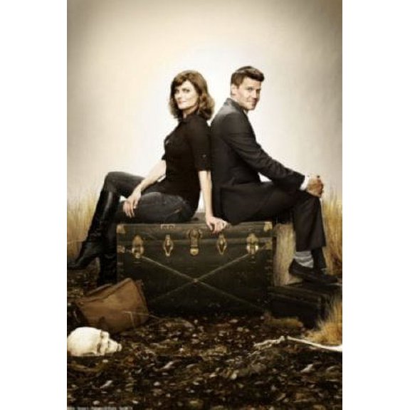 Bones poster Metal Print 12inx16in Unframed, Age: Adults, Rectangle Poster Time