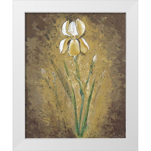 Bonet, Julia 26x31 White Modern Wood Framed Museum Art Print Titled - Dark side of an Amaryllis