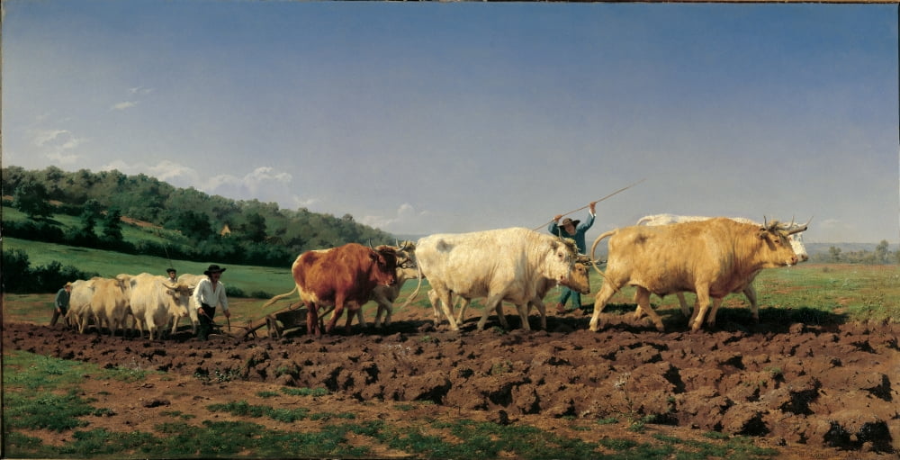 Bonheur Marie Rosa Canvas Art - (24 x 18)