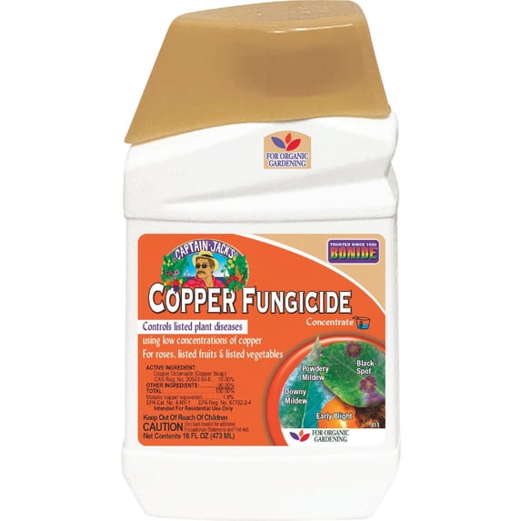 Bonide 8116 Captain Jack's Copper Fungicide Organic Gardening Mildew, Blight & Disease Control, 16 oz. Conc - Quantity 6