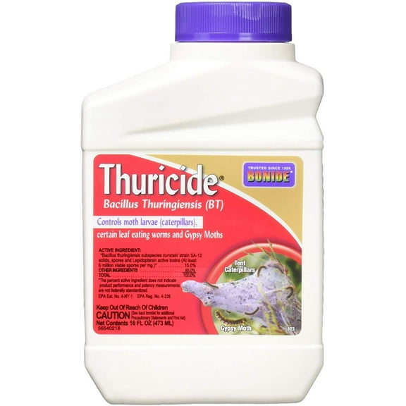 Bonide Thuricide BT Insect Killer - Liquid Insecticide - 2 Pack, 16 oz Each