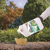 Bonide Captain Jack's Broadleaf Weed Killer Concentrate - Weed & Grass Killer - 32 Oz