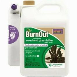Bonide BurnOut Grass & Weed Killer RTU Liquid 1 gal
