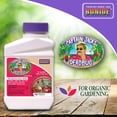 thumbnail image 1 of Bonide Captain Jack√¢¬Ä¬ôs Dead Bug Brew Concentrate insect Killer, 16 oz, 1 of 4
