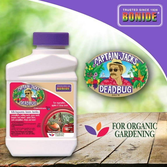 Bonide Captain Jack’s Dead Bug Brew Concentrate insect Killer, 16 oz
