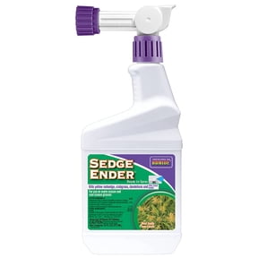 SEDGE ENDER RTS 1PNT
