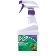16oz. Sucker Punch RTU Knock Out Sprouts