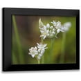 thumbnail image 1 of Bonin, Suzanne 14x12 Black Modern Framed Museum Art Print Titled - Garlic Chives, 1 of 5