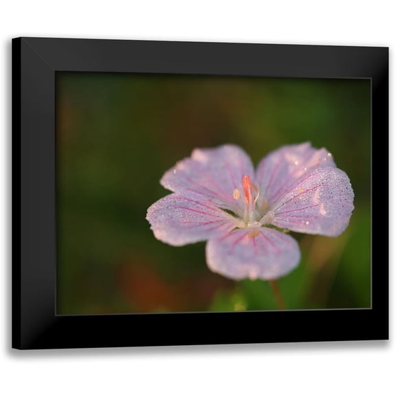 Bonin, Suzanne 14x12 Black Modern Framed Museum Art Print Titled - Pretty Pretty
