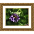 thumbnail image 1 of Bonin, Suzanne 14x12 Gold Ornate Wood Framed with Double Matting Museum Art Print Titled - Beauty In Nature, 1 of 4