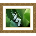 thumbnail image 1 of Bonin, Suzanne 14x12 Gold Ornate Wood Framed with Double Matting Museum Art Print Titled - Clochettes, 1 of 4