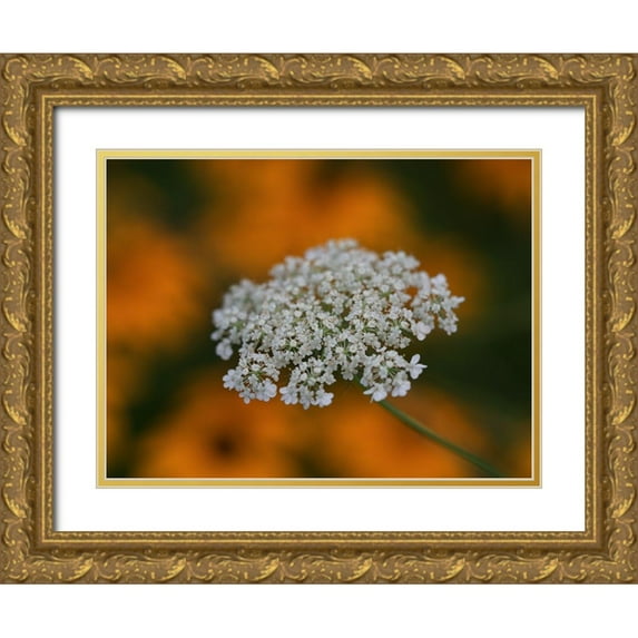 Bonin, Suzanne 14x12 Gold Ornate Wood Framed with Double Matting Museum Art Print Titled - Dentelle
