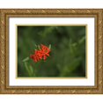 thumbnail image 1 of Bonin, Suzanne 14x12 Gold Ornate Wood Framed with Double Matting Museum Art Print Titled - Nonesuch, 1 of 4