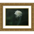 thumbnail image 1 of Bonin, Suzanne 14x12 Gold Ornate Wood Framed with Double Matting Museum Art Print Titled - Pincushion, 1 of 4