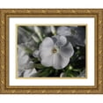 thumbnail image 1 of Bonin, Suzanne 14x12 Gold Ornate Wood Framed with Double Matting Museum Art Print Titled - White Phlox with Dew Drops, 1 of 4