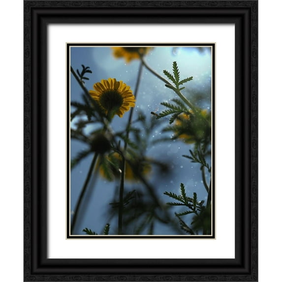 Bonin, Suzanne 15x18 Black Ornate Wood Framed with Double Matting Museum Art Print Titled - Ant Eye View