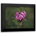 thumbnail image 1 of Bonin, Suzanne 18x15 Black Modern Framed Museum Art Print Titled - Aster in the Morning, 1 of 5