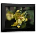 thumbnail image 1 of Bonin, Suzanne 18x15 Black Modern Framed Museum Art Print Titled - Dark Mullein, 1 of 5