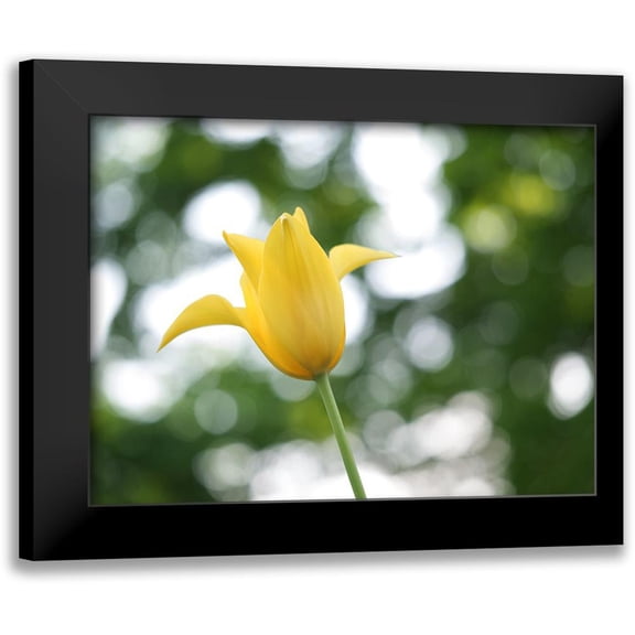 Bonin, Suzanne 18x15 Black Modern Framed Museum Art Print Titled - Lady In Yellow