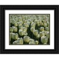 thumbnail image 1 of Bonin, Suzanne 18x15 Black Ornate Wood Framed with Double Matting Museum Art Print Titled - Field Of White Tulips, 1 of 4