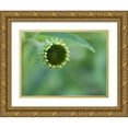 thumbnail image 1 of Bonin, Suzanne 18x15 Gold Ornate Wood Framed with Double Matting Museum Art Print Titled - Coneflower bud, 1 of 4